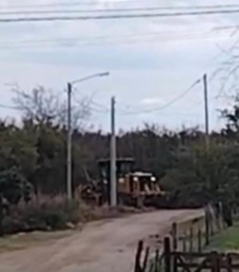 Denuncian que maquinaria arrasó con árboles nativos en el arroyo de Barrio Golden Hill, Merlo