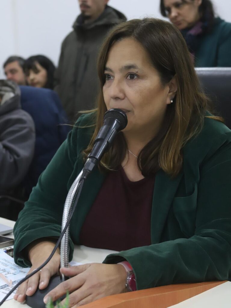 Presentan un proyecto de ordenanza de transparencia para la Municipalidad de Villa de Merlo