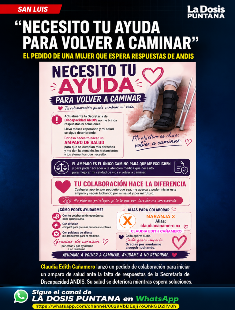 Necesito tu ayuda para volver a caminar»: el pedido de una mujer que espera respuestas de ANDIS