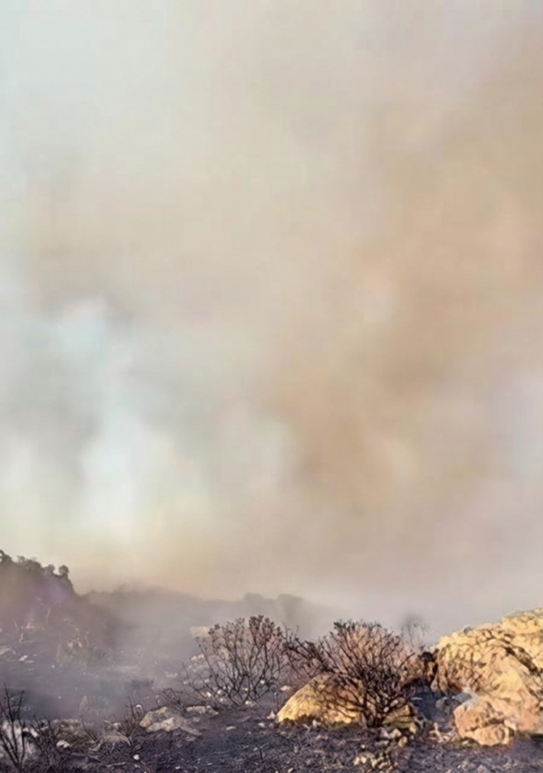 Incendio forestal fuera de control en Piedra Bola, al norte de La Carolina