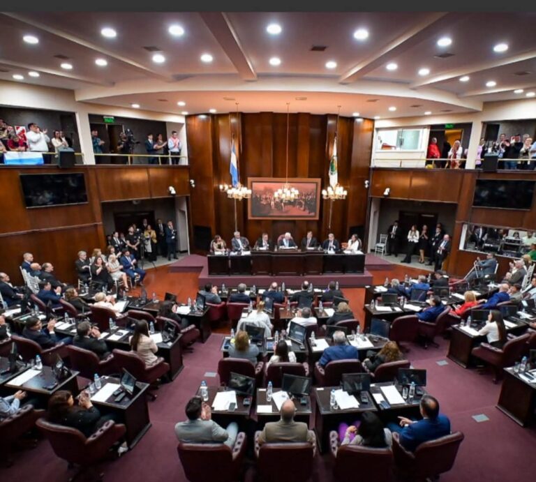 Es un cheque en blanco»: Walter Pollo cuestionó el RIPEE antes de su tratamiento en Diputados