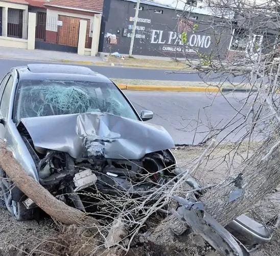Chocó contra un árbol en San Luis y dio positivo con 2,16 g/l de alcohol en sangre
