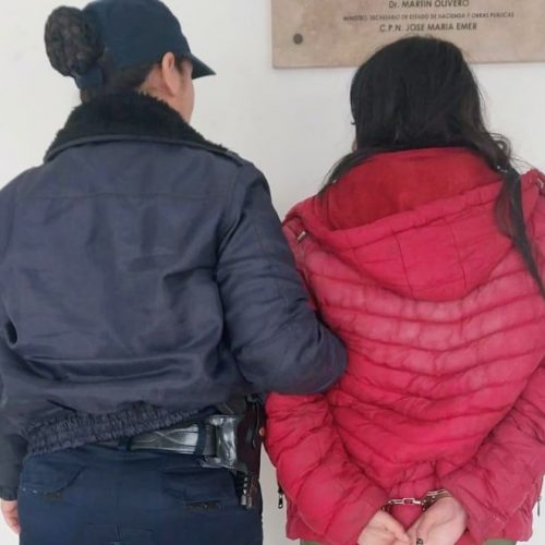 Villa Mercedes: demoraron a una mujer que causó disturbios en la vía pública y en una comisaría