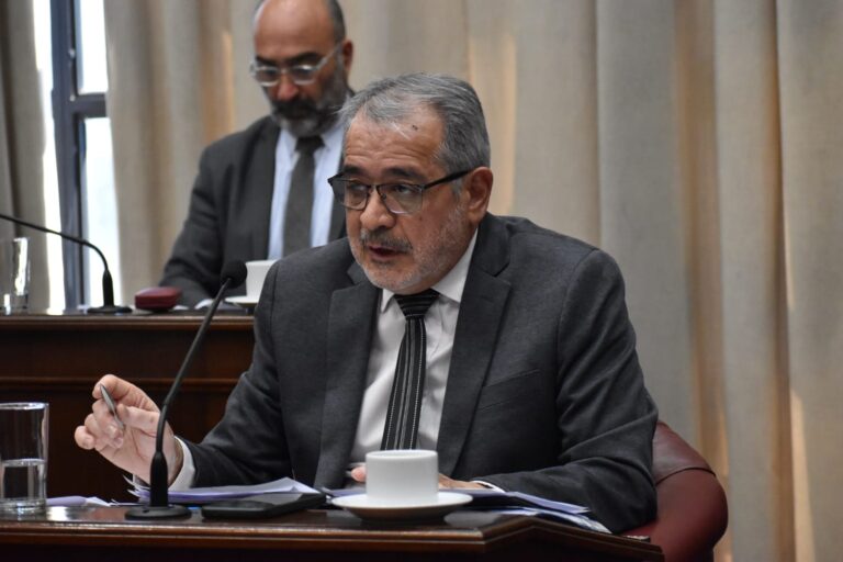 EL OFICIALISMO BUSCA REFORMAR LA CONSTITUCIÓN CON EXTENSIÓN DE MANDATOS Y OMISIÓN DE LA AUTONOMÍA MUNICIPALSAN LUIS.