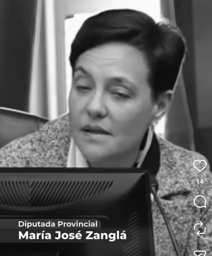 Diputada Provincial aprobó la modificación de la ley de fonoaudiología en San Luis
