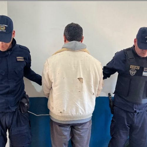 Secuestraron un arma de fuego, cuchillos y un animal faenado que era transportado de forma irregular en la ruta 22: hay un hombre demorado
