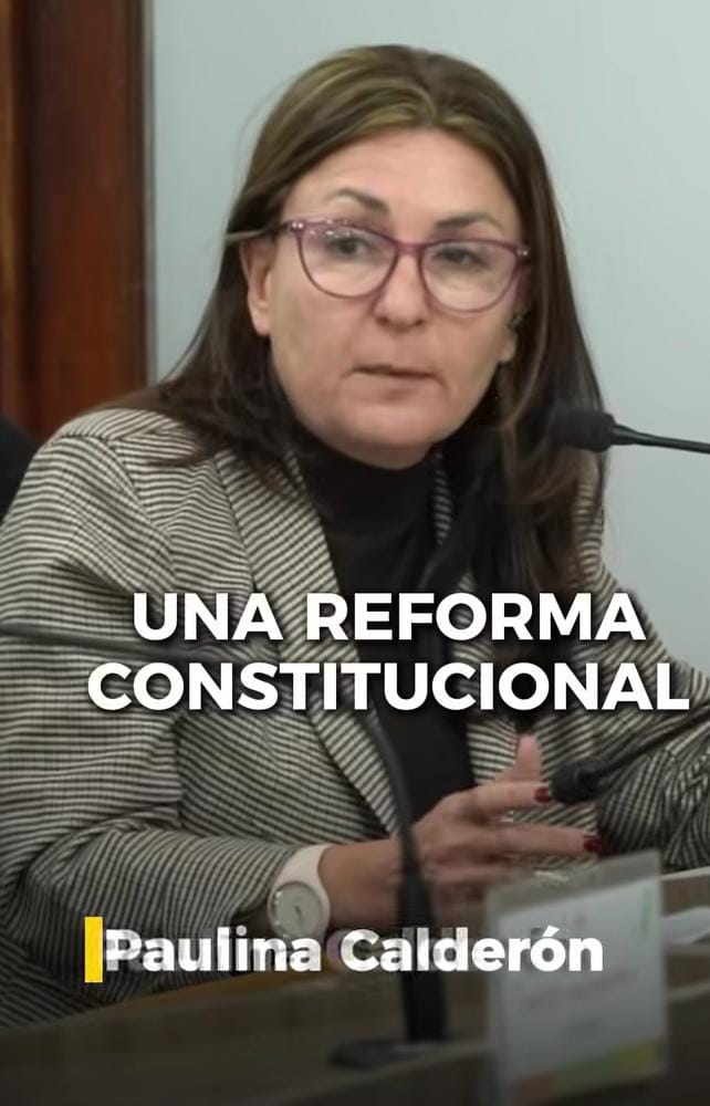 Concejales justicialistas le pidieron a Diputados que los convoque antes de tratar la reforma constitucional
