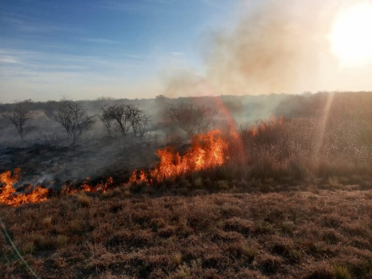 Un desperfecto mecánico provocó un incendio de pastizales en la ruta 146