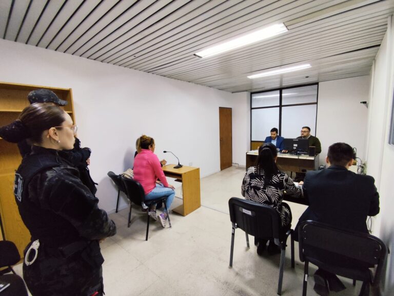 Condena de prisión efectiva para una mujer por una serie de hurtos en comercios de San Luis