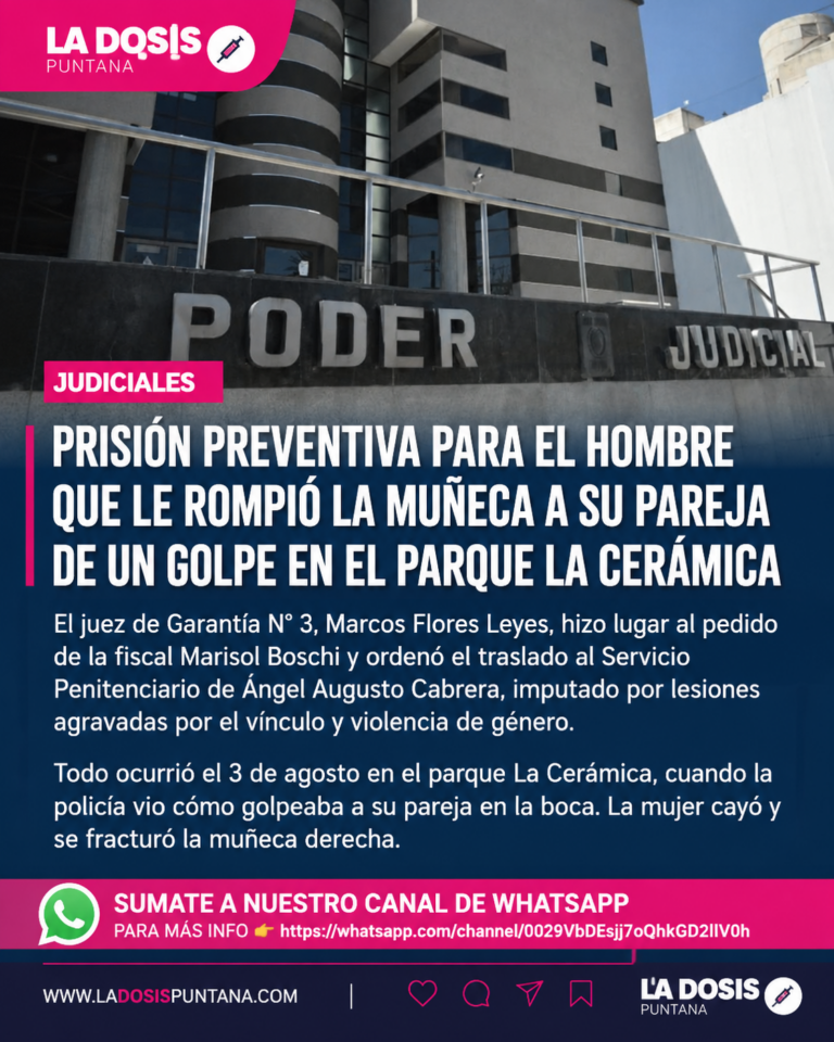 PRISIÓN PREVENTIVA PARA EL HOMBRE QUE GOLPEÓ A SU PAREJA EN EL PARQUE LA CERÁMICA