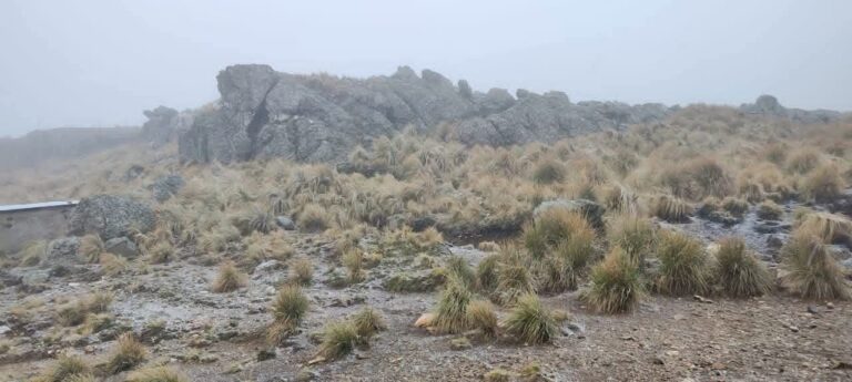 ❄️ Se cumple el pronóstico: está nevando en el filo serrano de Villa de Merlo