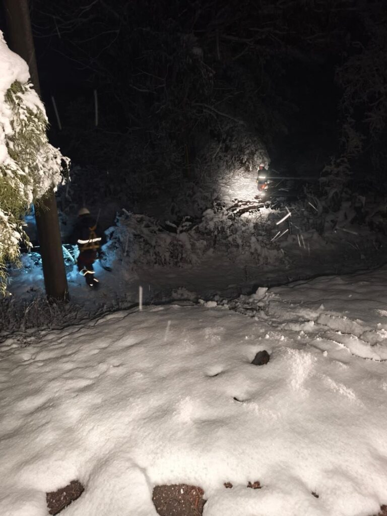 Edesal trabaja durante la noche para restablecer el servicio eléctrico en la zona serrana tras la caída de árboles por la nieve
