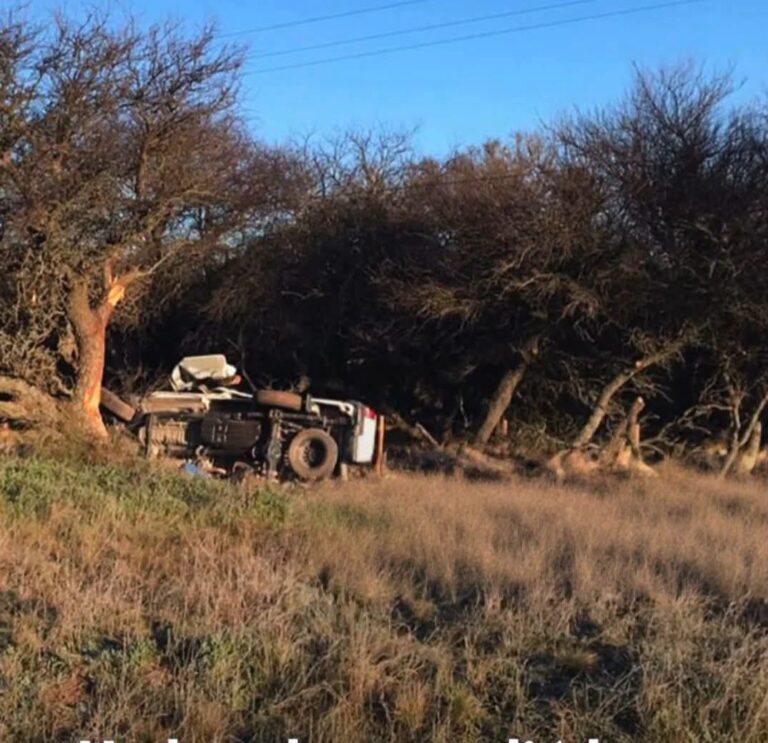 Un hombre perdió la vida este domingo tras volcar con su camioneta en la Ruta Provincial 10, en el tramo que une las localidades pampeanas de Telén y Victorica.