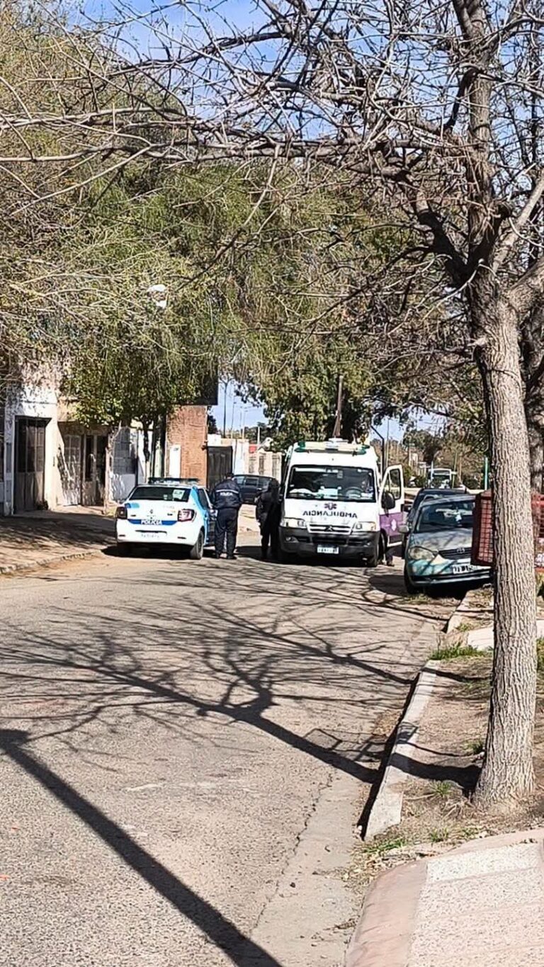 Desalojaron a golpes a una mujer y sus hijos en San Luis, Capital