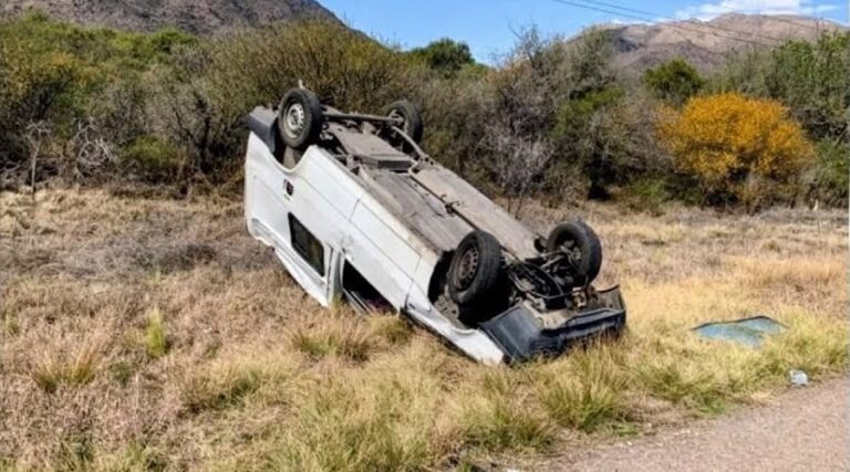 Un abejorro generó un peligroso vuelco en la Autopista 25 de Mayo