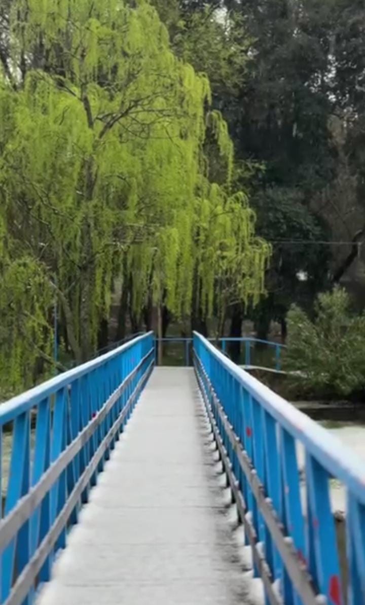 El intendente de El Trapiche, Ricardo Olivera Aguirre, compartió un video luego de la intensa lluvia, granizo y nieve ⛄️ que se registró este viernes por la tarde en la localidad, que quedó completamente teñida de blanco.