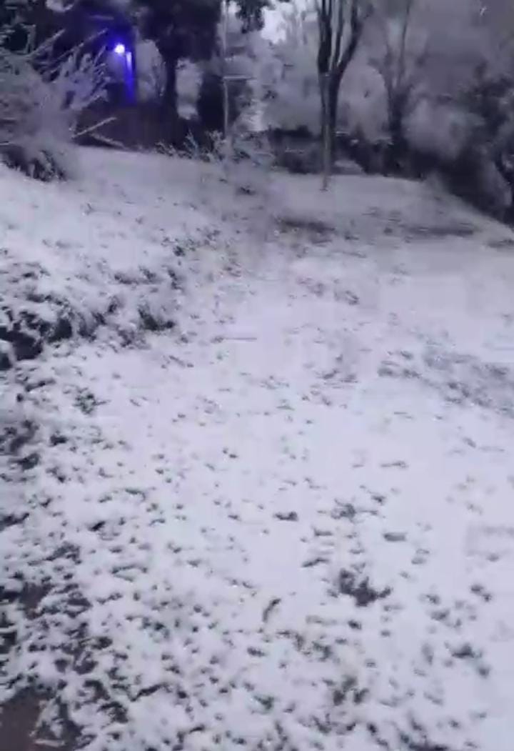 Cayó agua nieve en San Luis capital: así impactó la nevada en toda la provincia