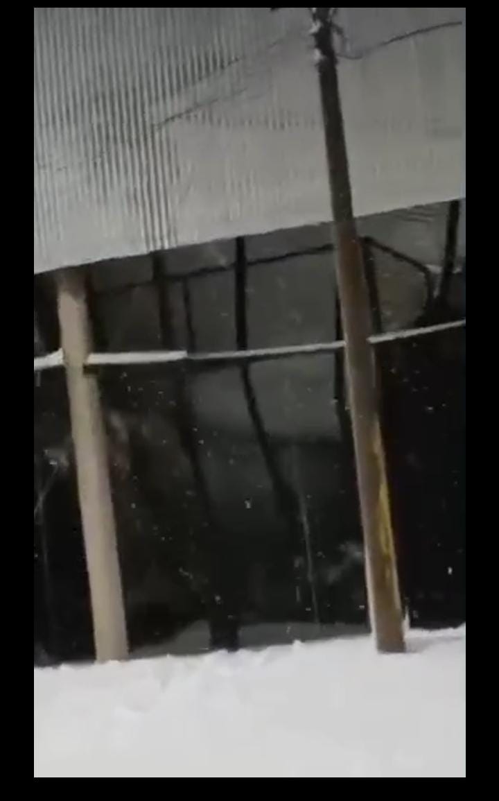 Nieve en La Toma: colapsó parte de un complejo de pádel por la acumulación