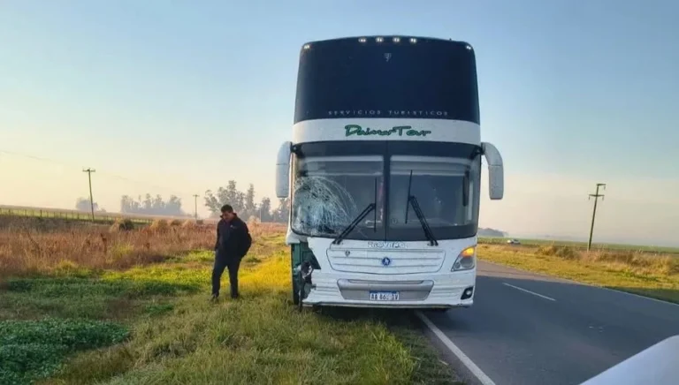 🔴 ÚLTIMO MOMENTO: Un hombre murió este sábado por la madrugada tras ser embestido por un colectivo de larga distancia en la Ruta Provincial N.º 50, en la zona de Colón, San Luis.