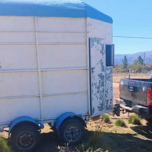 Una mujer de 37 años fue hospitalizada este martes tras sufrir un accidente mientras cargaba un caballo a un tráiler en Nogolí. El animal retrocedió, evitando que cerrara la compuerta, y la puerta cayó sobre ella provocando múltiples golpes. Además, el equino la golpeó durante el incidente.