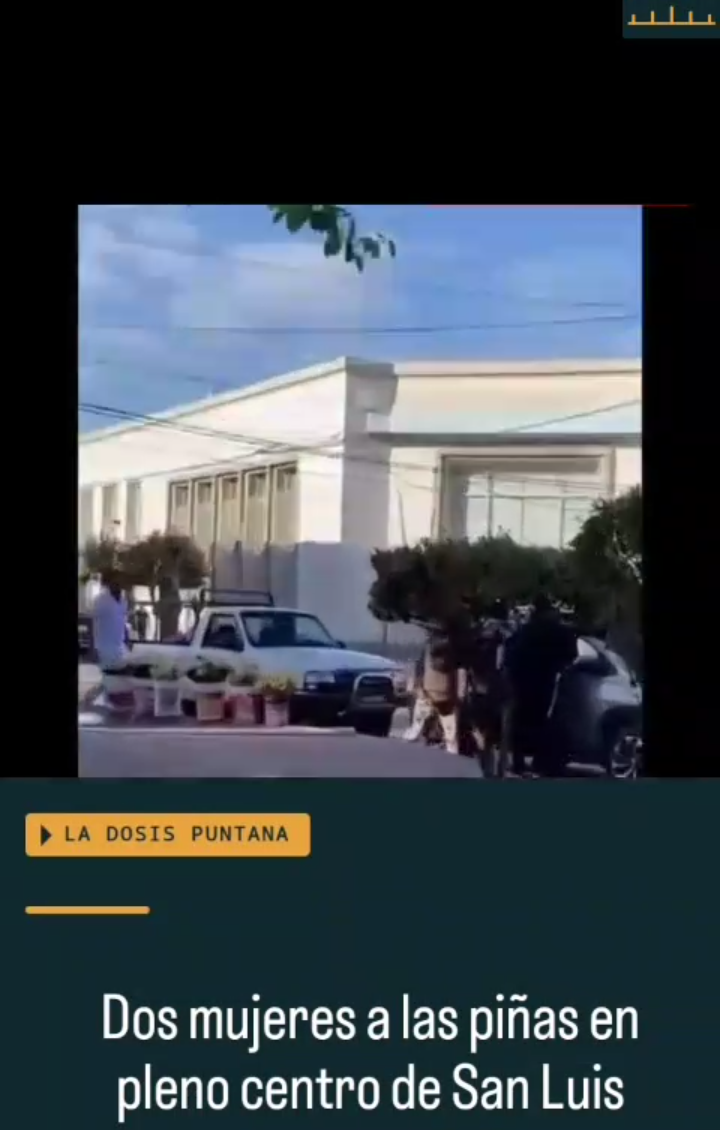 Dos mujeres protagonizaron una pelea a golpes en pleno centro de San Luis